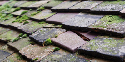 Gumley roof repair costs